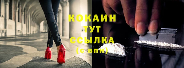 дмт Абаза