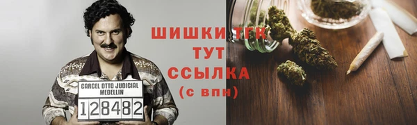 дмт Абаза