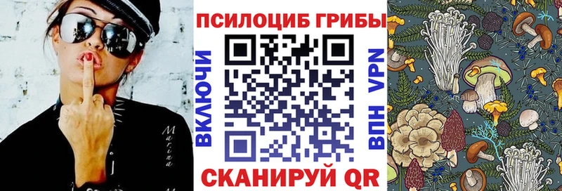 darknet телеграм  Никольск  MEGA зеркало  Псилоцибиновые грибы GOLDEN TEACHER  как найти закладки 