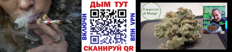 Каннабис Bruce Banner  закладки  Никольск 